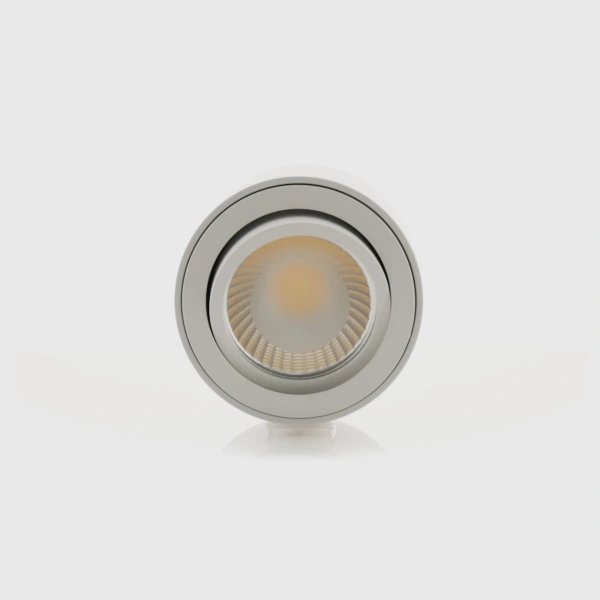 Surface downlight Nella Adjustable 12V 3CCT LED 7W WHT